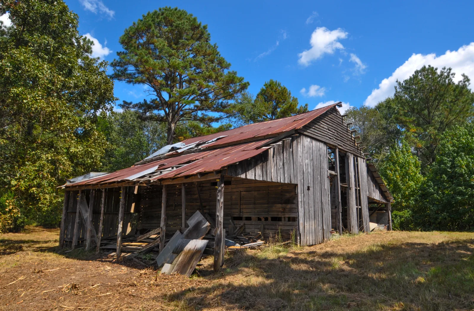 Old barn with weathered gray wood siding and a rusted sagging tin roof on dry open ground, loose boards leaning against its side and trees behind it